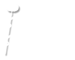 Studart Sound